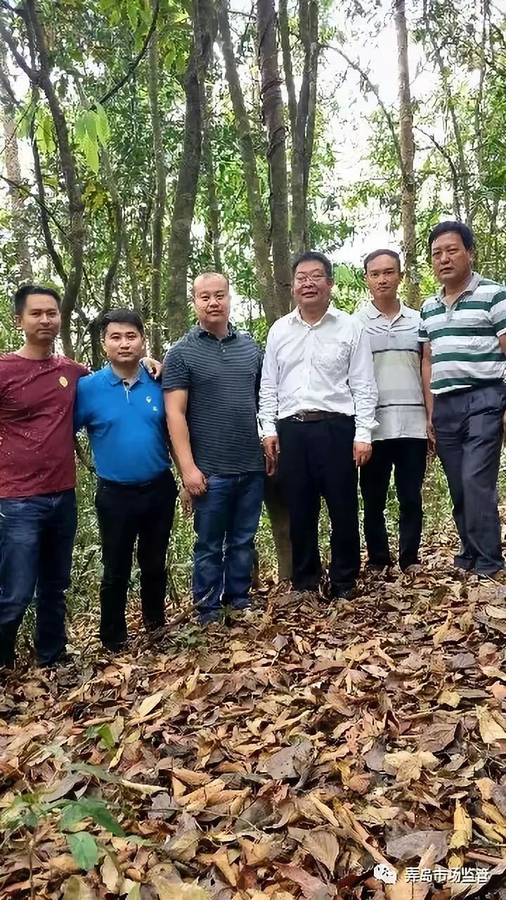 瑞丽市古树茶厂坐落于中国西南边陲的瑞丽市弄岛镇景颇族聚集的等嘎山