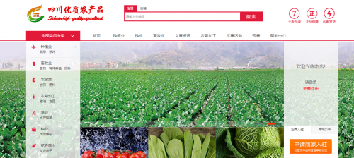 四川优质农产品王朝义塑造新媒体农产品的品牌发展
