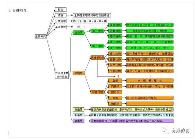 2020中考生必看:初中生物思维导图解析大全_绿色植物