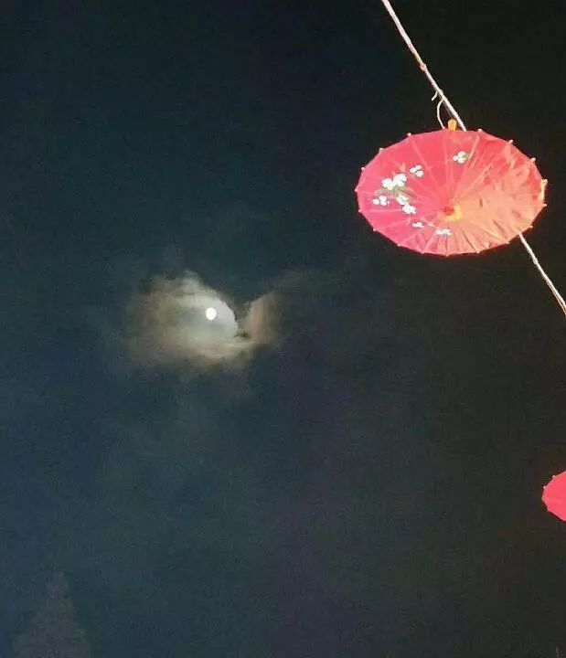 天涯共此时是什么歌 ce9cf18d59d149acb24a9cbdbb241899.jpeg