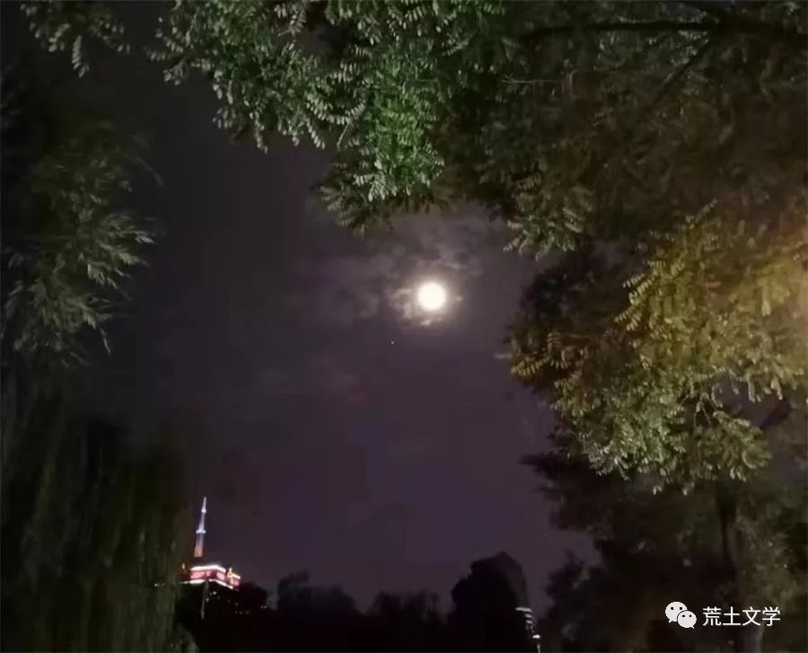 【荒土文学】签约诗人:卫宁‖诗歌 月夜》外一首