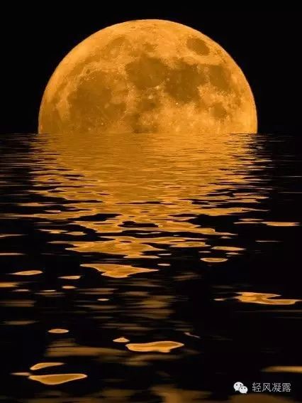 流出眼眶 变成了月亮 月亮里的桂花香 盛在千年的酒杯上 月亮里的桂花
