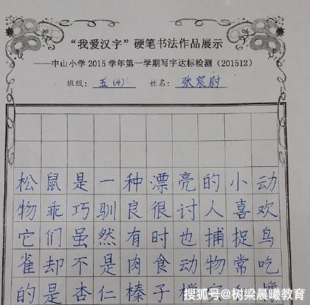 中小学 正文 这位小学生完成的是老师布置的语文抄写作业,他非常认真