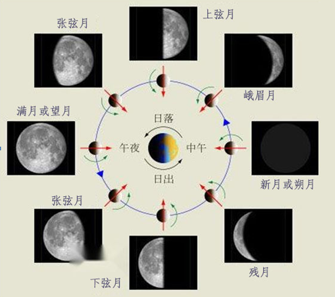 月有上弦月和下弦月,上弦月出现在上半月,缺口向东,下弦月出现在下