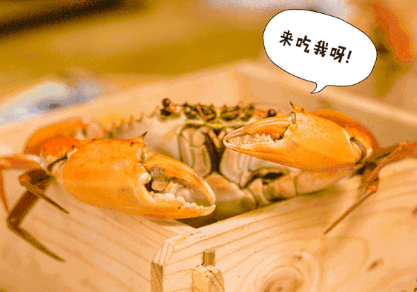 ddeb3bbd1ef74d2ea29bb938691e057f.gif