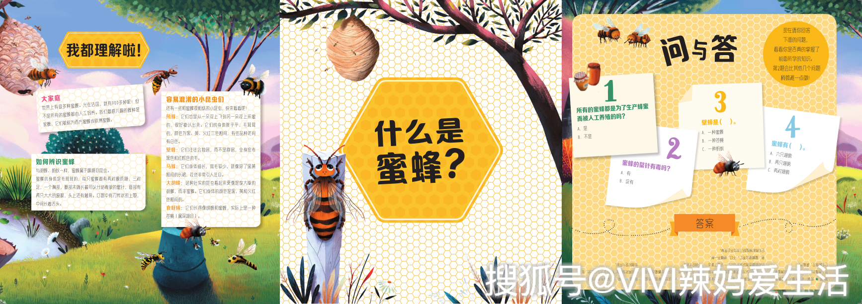 蜜蜂怎么传粉?什么是蜂箱?蜂群怎么生活?蜜蜂怎么繁殖?怎么收集蜂蜜?