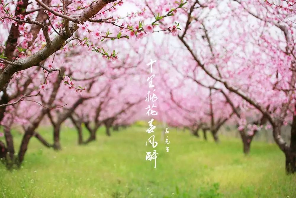 劳模材料怎么写