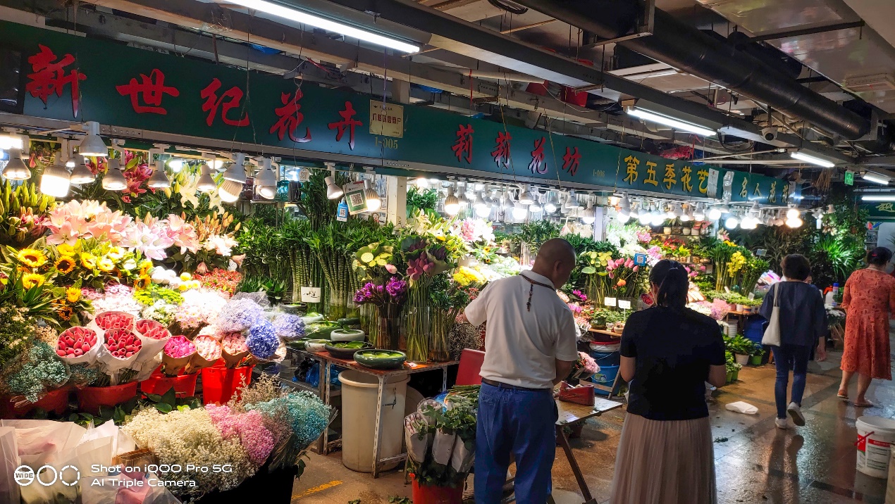 (后摄样片-杭州吴山花鸟市场,高反差场景(后摄样片-植物,大光圈模式