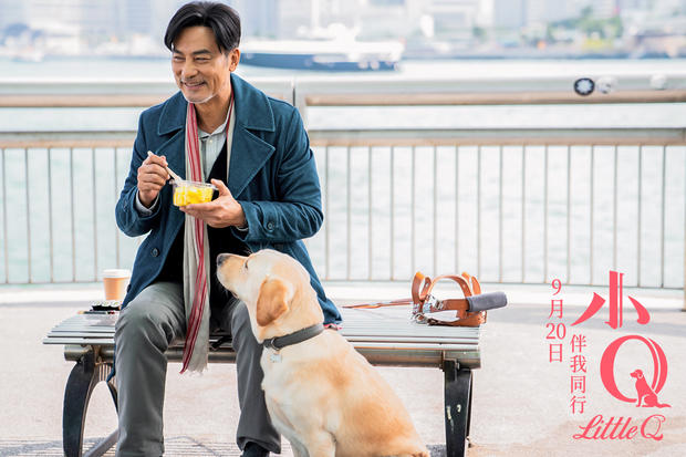 任达华主演治愈电影《小q》曝终极预告