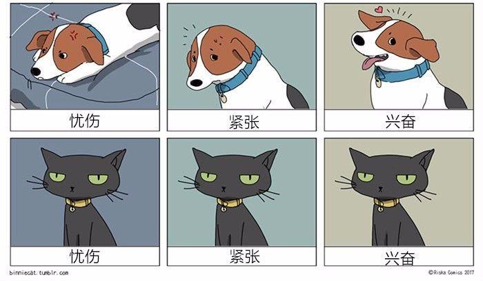 11幅极其精准的漫画,猫狗绝对来自不同星球!