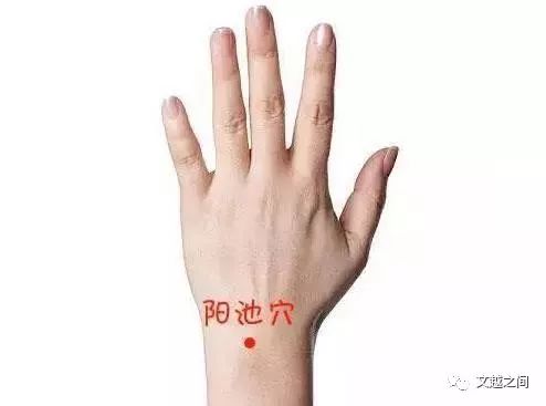 啥是三焦有火 fe0bfc69f138441884fc5956fbf810b4.jpeg