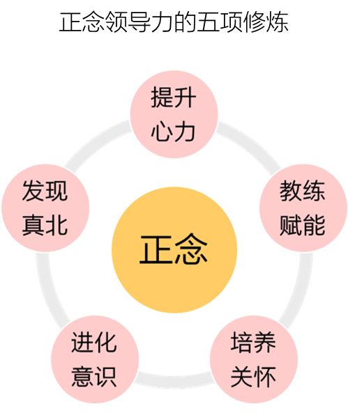 力的发展框架,包括五项修炼:我对正念领导力的定义是:具有高度觉察力