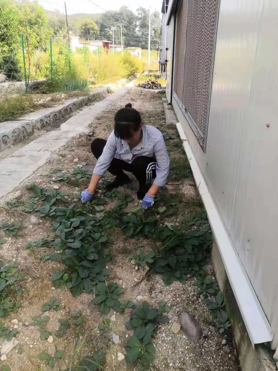 阜平县有多少人口_阜平县人口分布图(2)