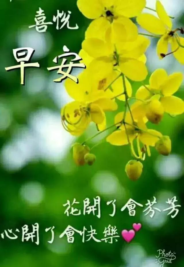 0ec8290848ed47a093afb3d5333c7b84.jpeg