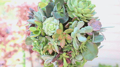 13 交行信用卡客户在买单吧app线上消费100立减50元 ;9.14-9.