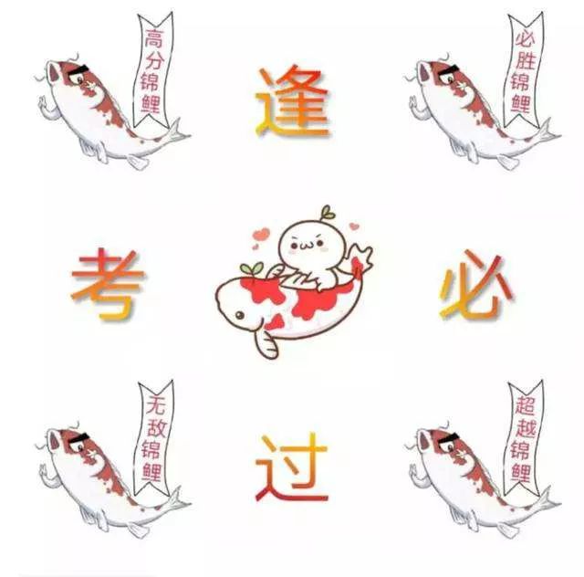 锦鲤也是在考生中大热的转发选项