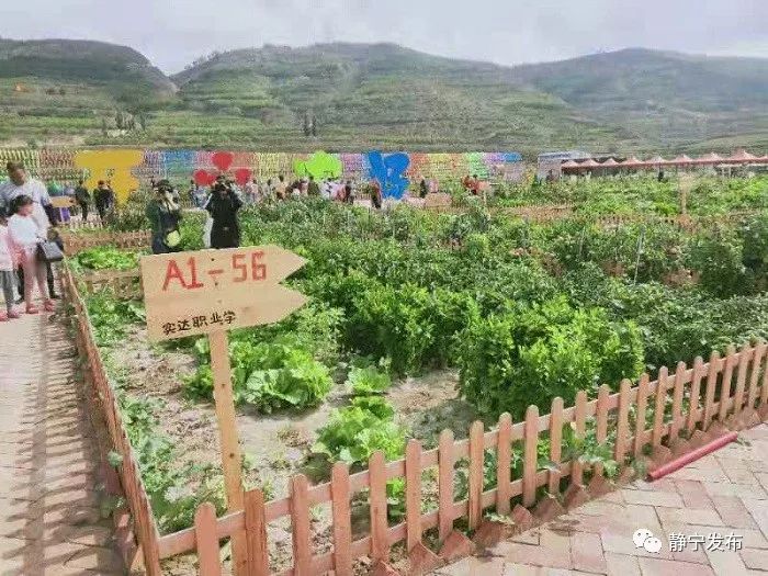 静宁县各乡镇经济总量_甘肃省静宁县地图