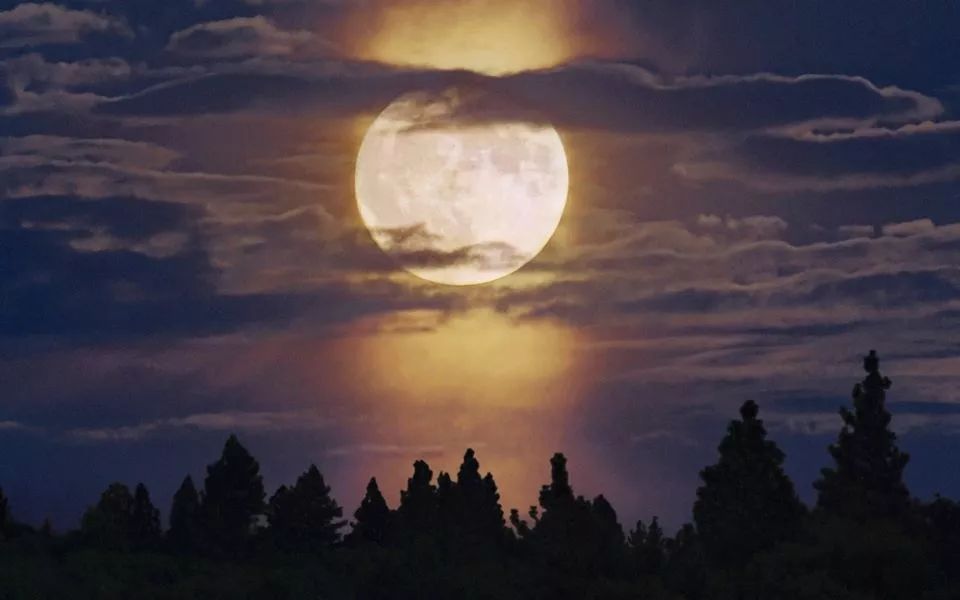 中秋特辑---《中秋之夜望月亮》