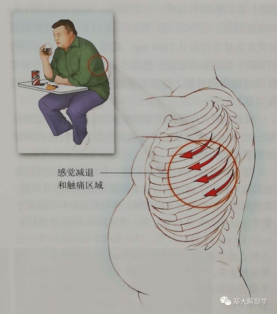 八种引起胸部疼痛综合征