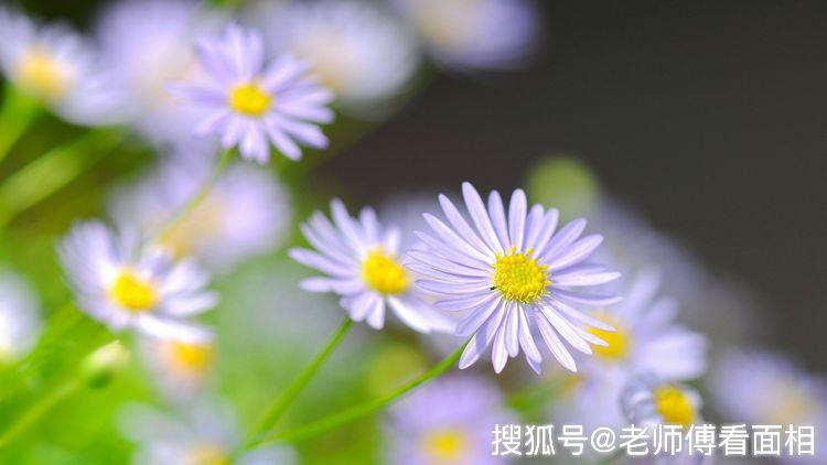 属蛇的人富有实力,充满理想,外表冷静却能内心火热,充满对新生活的