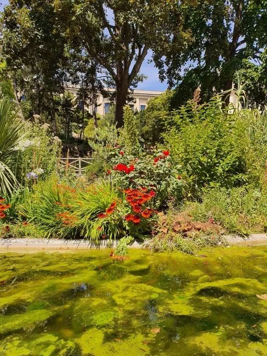 Ӳ��Ӳ:iPhone 11pro������Note10+˭�ǻ���