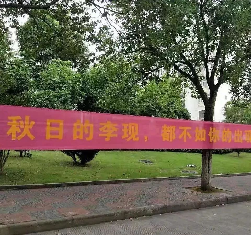 笑掉头2019高校迎新文案大pk脑洞大出天际你最pick谁
