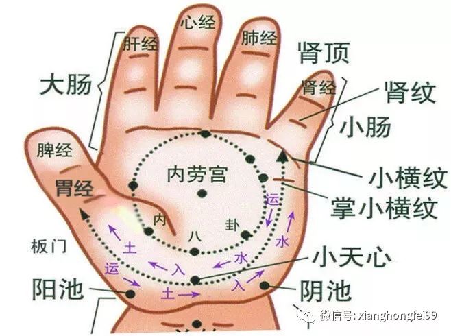 人体穴道图,值得收藏,有空捏捏,畅通心肝脾肺肾