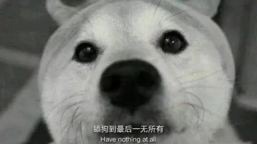 6de44d34fce4402fb77eb20601644cde.JPG