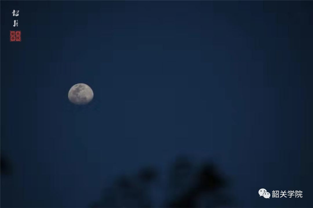 中秋之夜韶院的星空皓月也如此烂漫