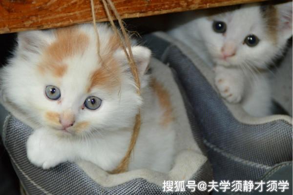 开心一刻:我大声喊老婆起床,她睡意朦胧地看着