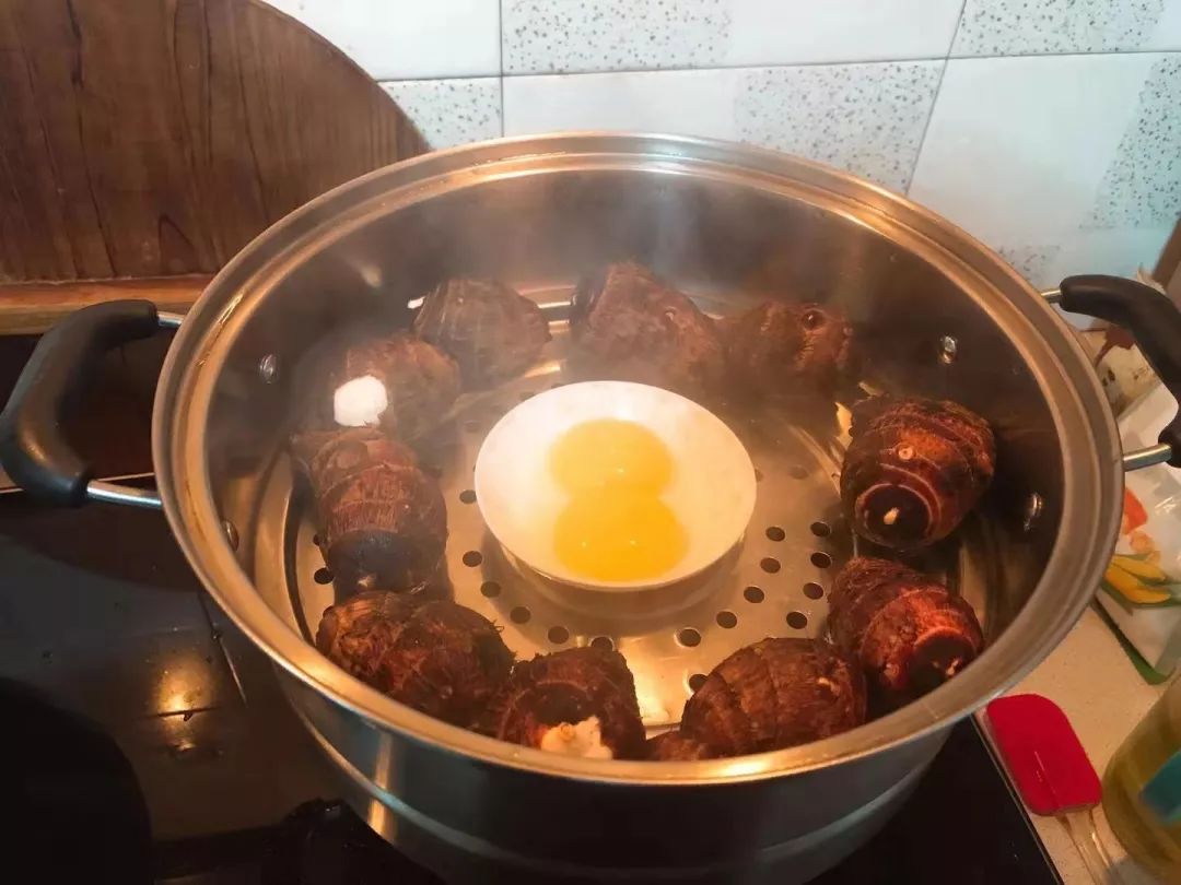 养猫,你后悔过吗?