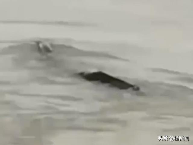 7158a4ec57d046d7bf0004285e5b4d30.jpeg