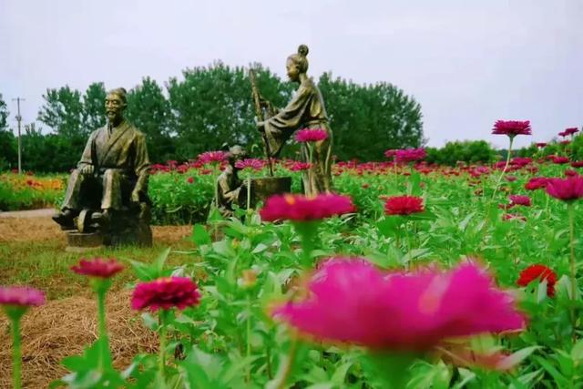 这个中秋,来如皋长江药用植物园寻觅初秋吧!简直了!