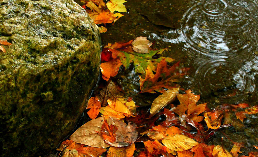 挂席什么成语_成语故事图片