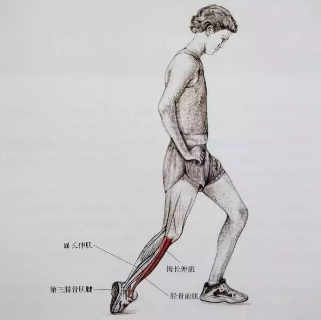 每次运动后可拿出10分钟 针对小腿拉伸 可选择一些上面的动作 每个