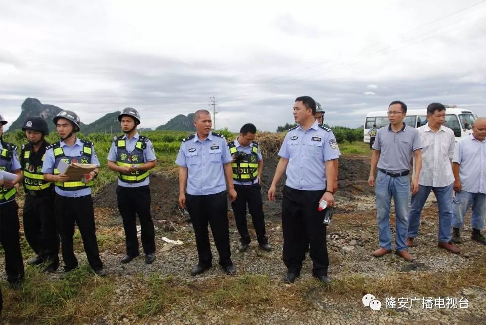 隆安县乔建人口_广西南宁隆安县那桐镇