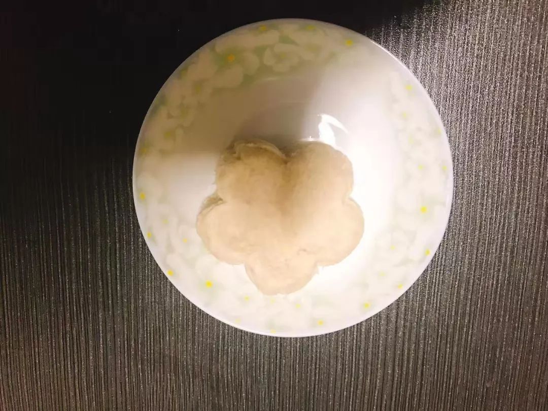 养猫,你后悔过吗?