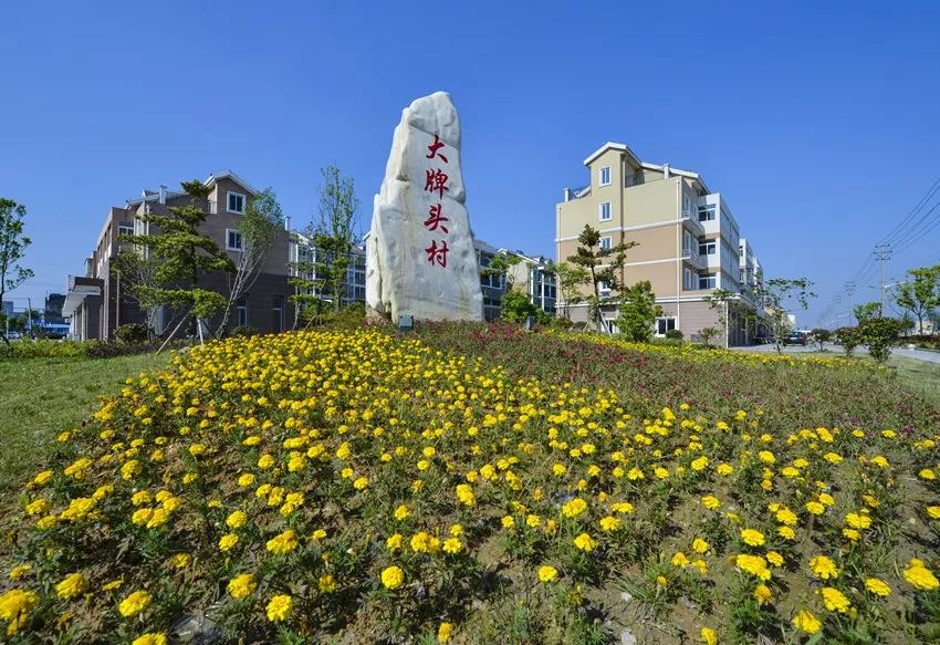 慈溪这个村名字很"大牌,靠老三样走上致富路!_头村