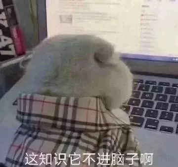 991715826dd842f5b2e65b4cbf734e8c.jpeg
