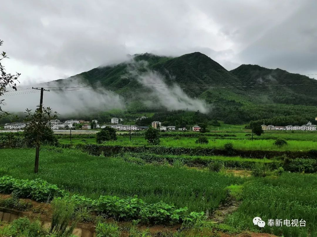 喜讯澡溪株梓村获评全省十大秀美乡村