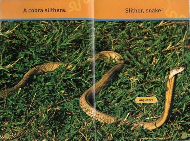 21天阅读计划-autumn reading-day 5 slither,snake