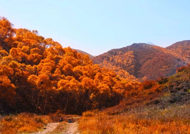 【热点】中秋小长假看绝美秋景 固阳马鞍山等你来打卡