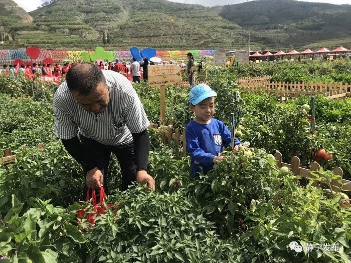 静宁县各乡镇经济总量_甘肃省静宁县地图