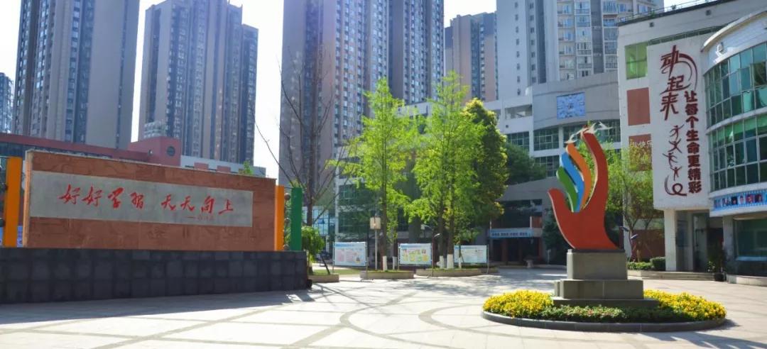 国务院参事一行领导到电子科大附小龙潭校区调