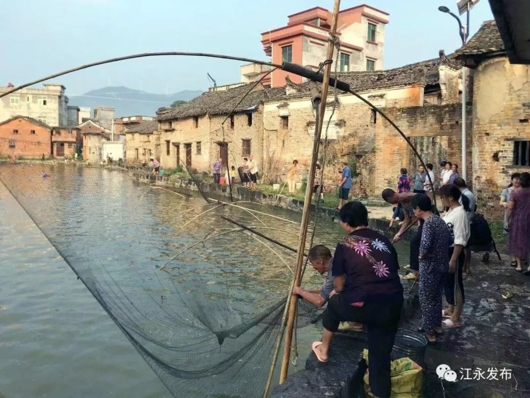 下塘捕鱼庆中秋 江永竟然流传着这样的习俗_夏湾村