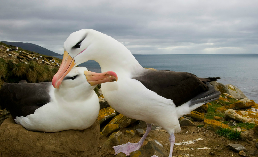 唐代王湾《次北固山下》原文、背景及赏析 小
