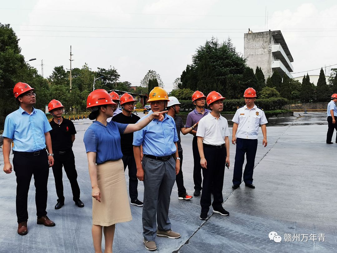 兴国县委副书记县长陈黎莅临兴国公司调研指导工作