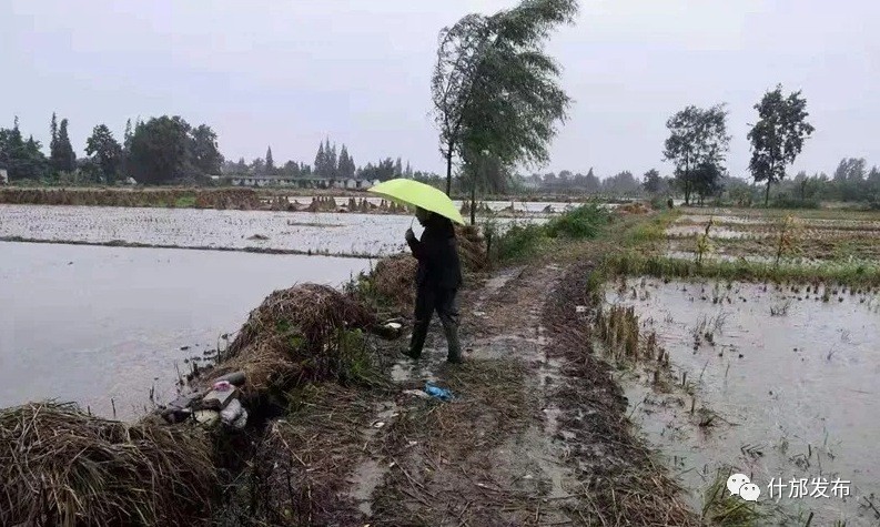 什邡各乡镇人口_什邡红峡谷