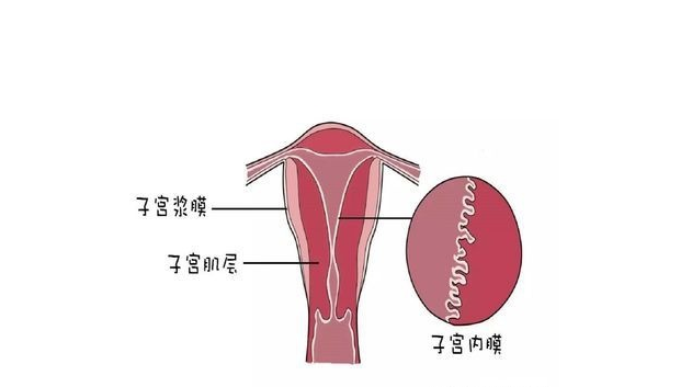 成语人流什么_人流用什么工具图片(2)