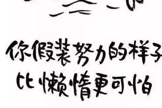 你可以假装很努力,但结果不会陪你演戏